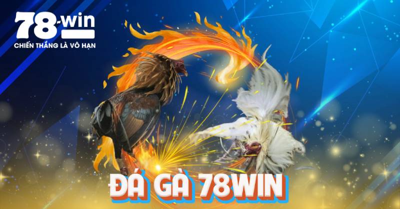 78Win – 78 Win Yoga Link Vào Nhà Cái 78Win.com Đăng Nhập【2025】✔️ Mobile 202 Da Ga 78win – Ca Cuoc Dinh Cao Giua Truong Ga So Hoa